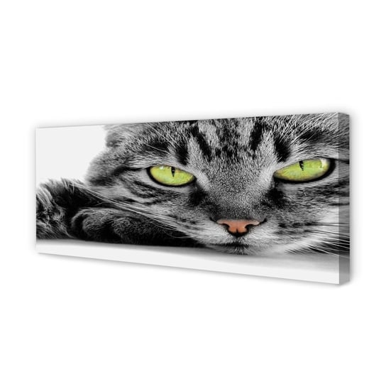 Obraz płótno TULUP na ramie Szaro-czarny kot, 125x50 cm Tulup