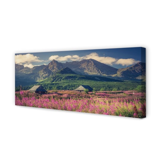 Obraz płótno TULUP na ścianę Góry pola domki, 125x50 cm Tulup