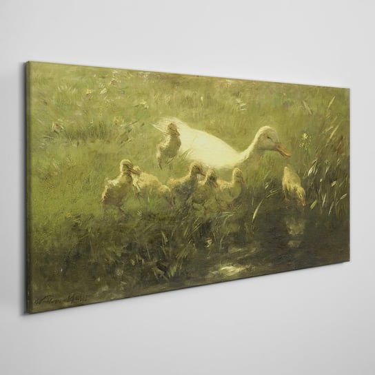 Obraz płótno Zwierzęta kaczki trawa natura 100x50 Coloray