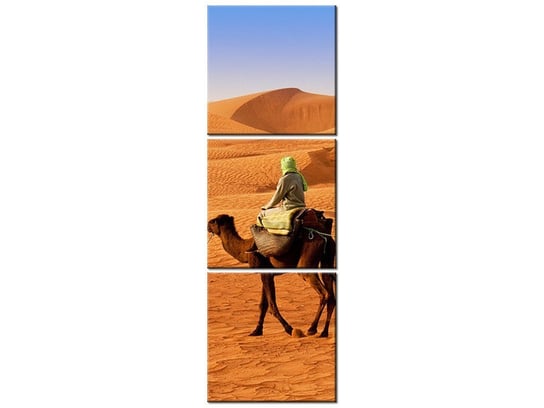 Obraz Podróż po pustyni, 3 elementy, 30x90 cm Oobrazy