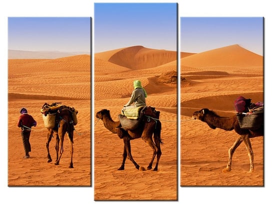 Obraz Podróż po pustyni, 3 elementy, 90x70 cm Oobrazy