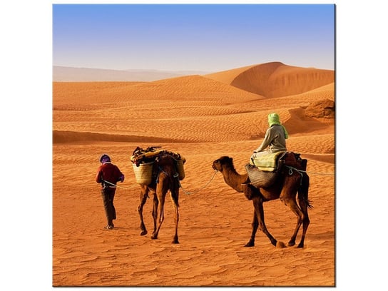Obraz Podróż po pustyni, 50x50 cm Oobrazy