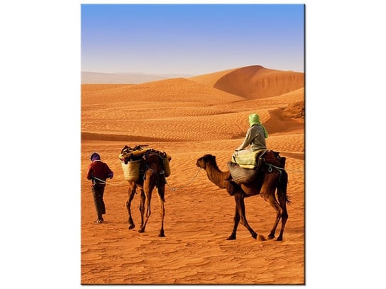 Obraz Podróż po pustyni, 60x75 cm Oobrazy
