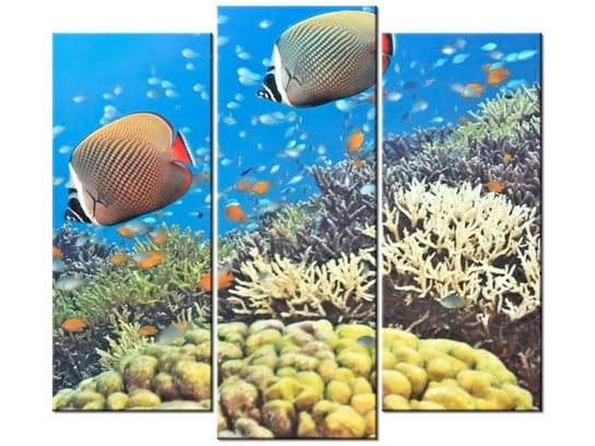 Obraz Podwodna Panorama, 3 elementy, 90x80 cm Oobrazy
