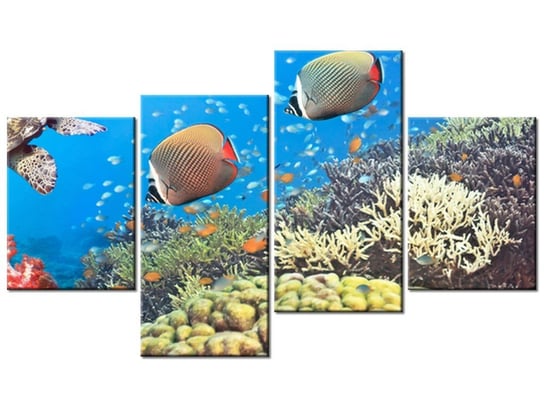 Obraz Podwodna Panorama, 4 elementy, 120x70 cm Oobrazy