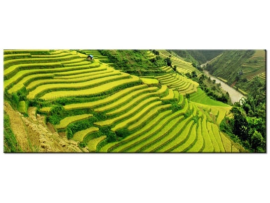 Obraz Pola ryżowe Mu Cang Chai, 100x40 cm Oobrazy