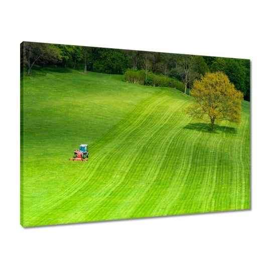 Obraz Pole golfowe, 70x50cm ZeSmakiem