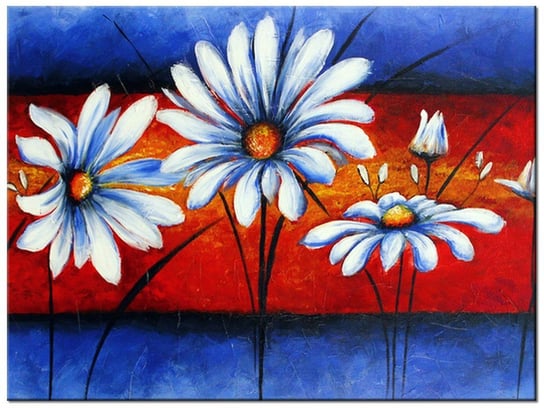 Obraz Polne kwiaty, 40x30 cm Oobrazy