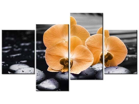 Obraz, Pomarańczowe storczyki, 4 elementy, 120x70 cm Oobrazy