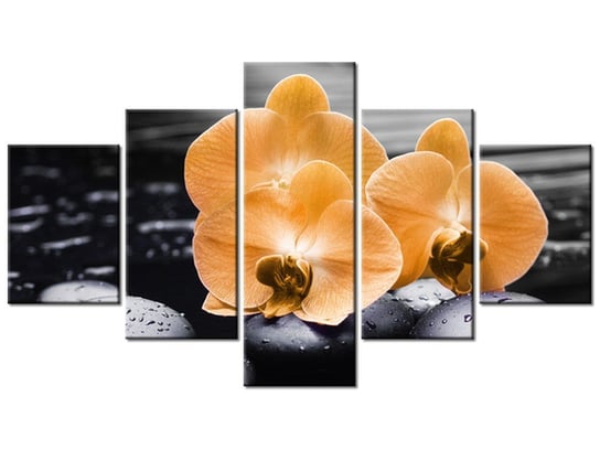 Obraz Pomarańczowe storczyki, 5 elementów, 125x70 cm Oobrazy