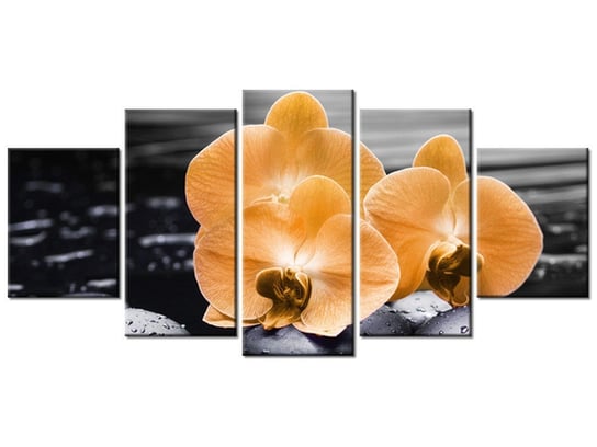 Obraz Pomarańczowe storczyki, 5 elementów, 150x70 cm Oobrazy