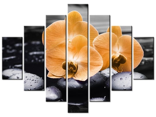 Obraz Pomarańczowe storczyki, 7 elementów, 210x150 cm Oobrazy