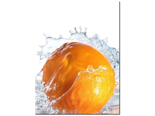 Obraz Pomarańczowy plusk, 30x40 cm Oobrazy