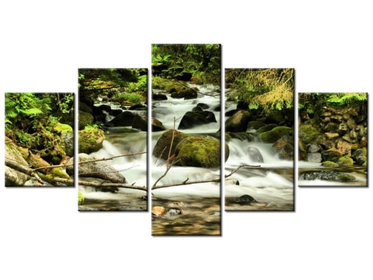 Obraz Potok wśród drzew, 5 elementów, 150x80 cm Oobrazy