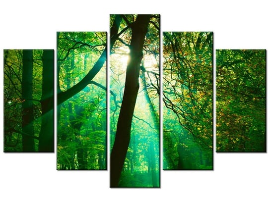 Obraz Promienie słoneczne wśród drzew - Pawel Pacholec, 5 elementów, 150x100 cm Oobrazy
