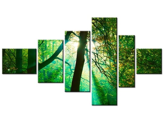 Obraz Promienie słoneczne wśród drzew - Paweł Pacholec, 6 elementów, 180x100 cm Oobrazy