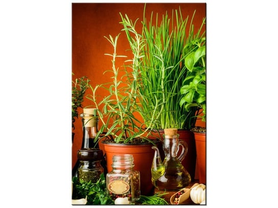 Obraz Przyprawy ziołowe, 40x60 cm Oobrazy