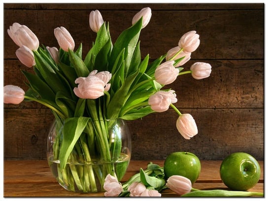 Obraz Pudrowy tulipan, 40x30 cm Oobrazy