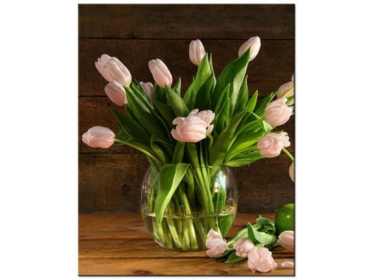 Obraz Pudrowy tulipan, 60x75 cm Oobrazy