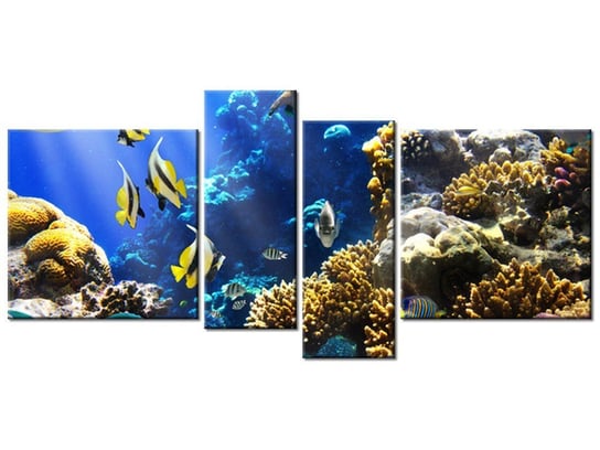 Obraz Rafa koralowa, 4 elementy, 120x55 cm Oobrazy