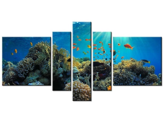 Obraz Rafa koralowa, 5 elementów, 160x80 cm Oobrazy