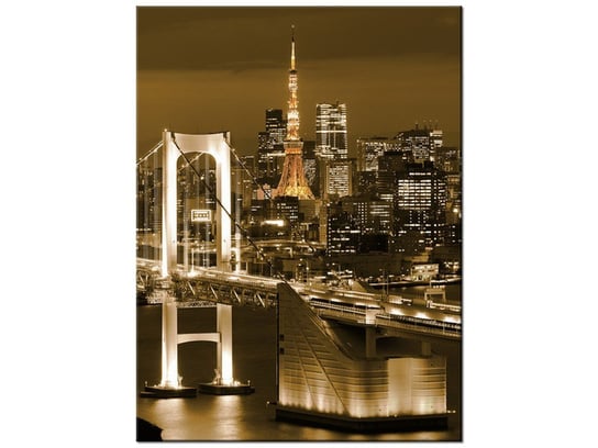 Obraz Rainbow Bridge w Tokio, 30x40 cm Oobrazy