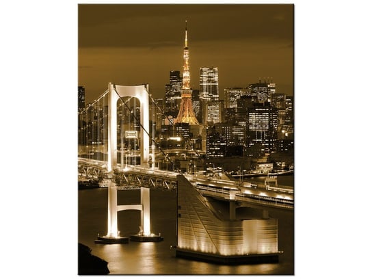 Obraz Rainbow Bridge w Tokio, 40x50 cm Oobrazy