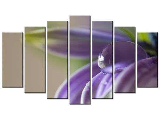 Obraz Raj - Gemma Stiles, 7 elementów, 140x80 cm Oobrazy