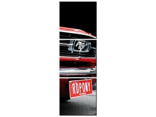 Obraz Red Mustang - Y, 3 elementy, 30x90 cm Oobrazy