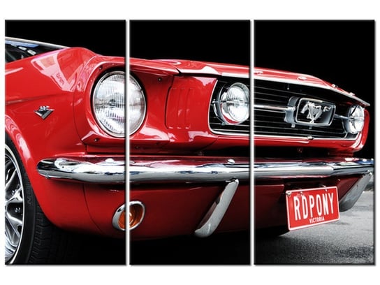 Obraz Red Mustang - Y, 3 elementy, 90x60 cm Oobrazy