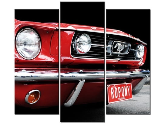 Obraz Red Mustang - Y, 3 elementy, 90x80 cm Oobrazy