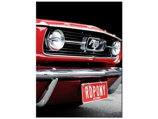 Obraz Red Mustang - Y, 30x40 cm Oobrazy