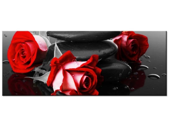 Obraz, Roses and spa, 100x40 cm Oobrazy