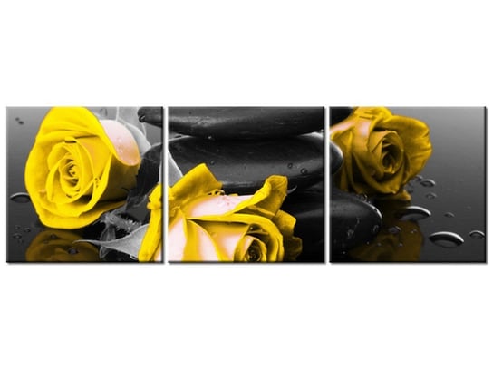 Obraz, Roses and spa, 3 elementy, 120x40 cm Oobrazy