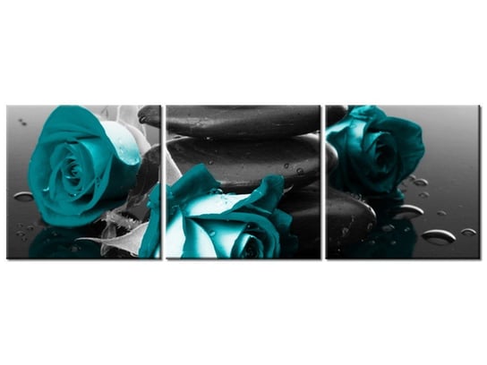 Obraz Roses and spa, 3 elementy, 150x50 cm Oobrazy