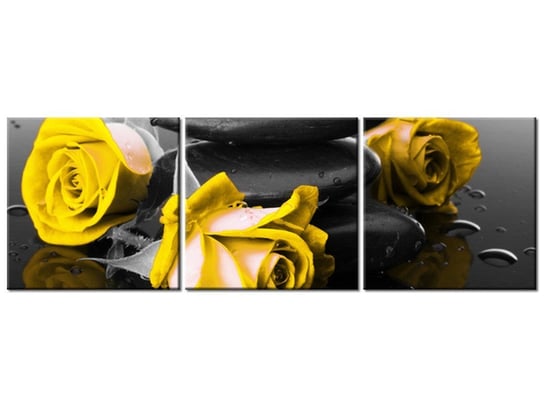 Obraz, Roses and spa, 3 elementy, 90x30 cm Oobrazy