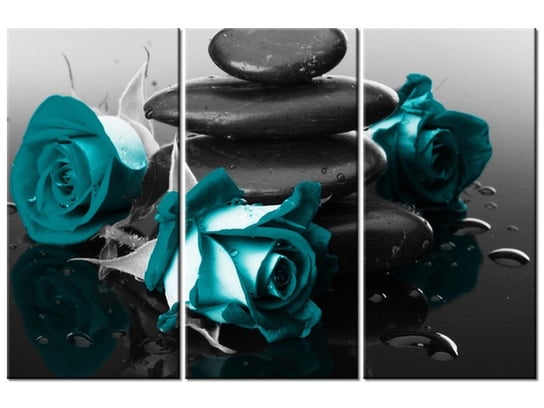 Obraz Roses and spa, 3 elementy, 90x60 cm Oobrazy