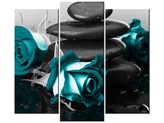 Obraz Roses and spa, 3 elementy, 90x80 cm Oobrazy