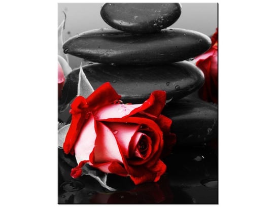 Obraz, Roses and spa, 40x50 cm Oobrazy