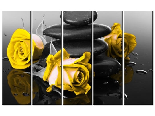 Obraz Roses and spa, 5 elementów, 100x63 cm Oobrazy