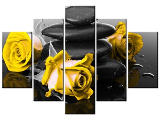 Obraz, Roses and spa, 5 elementów, 150x105 cm Oobrazy