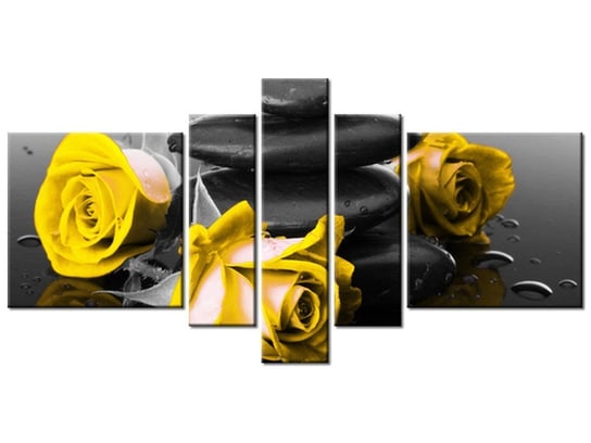 Obraz Roses and spa, 5 elementów, 160x80 cm Oobrazy