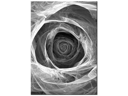 Obraz Róża, 50x70 cm Oobrazy