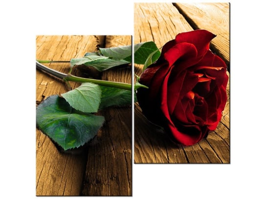 Obraz, Róża dla ukochanej, 2 elementy, 60x60 cm Oobrazy