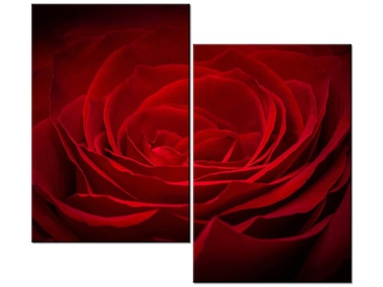 Obraz Róża dla ukochanej, 2 elementy, 80x70 cm Oobrazy