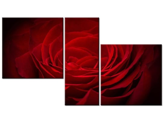 Obraz Róża dla ukochanej, 3 elementy, 90x50 cm Oobrazy