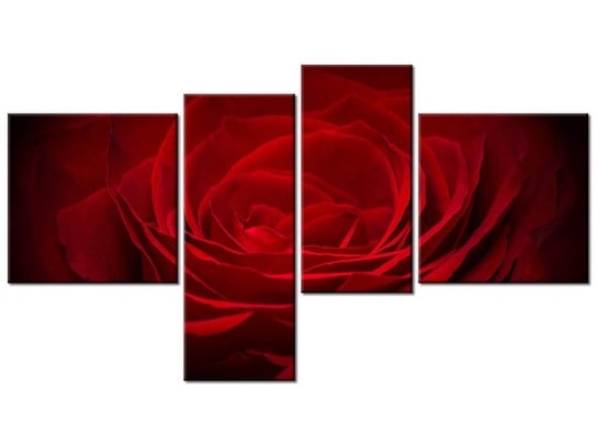 Obraz Róża dla ukochanej, 4 elementy, 100x55 cm Oobrazy