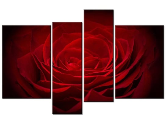 Obraz Róża dla ukochanej, 4 elementy, 130x85 cm Oobrazy