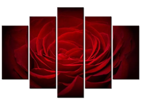 Obraz Róża dla ukochanej, 5 elementów, 150x100 cm Oobrazy
