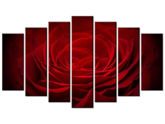 Obraz Róża dla ukochanej, 7 elementów, 140x80 cm Oobrazy